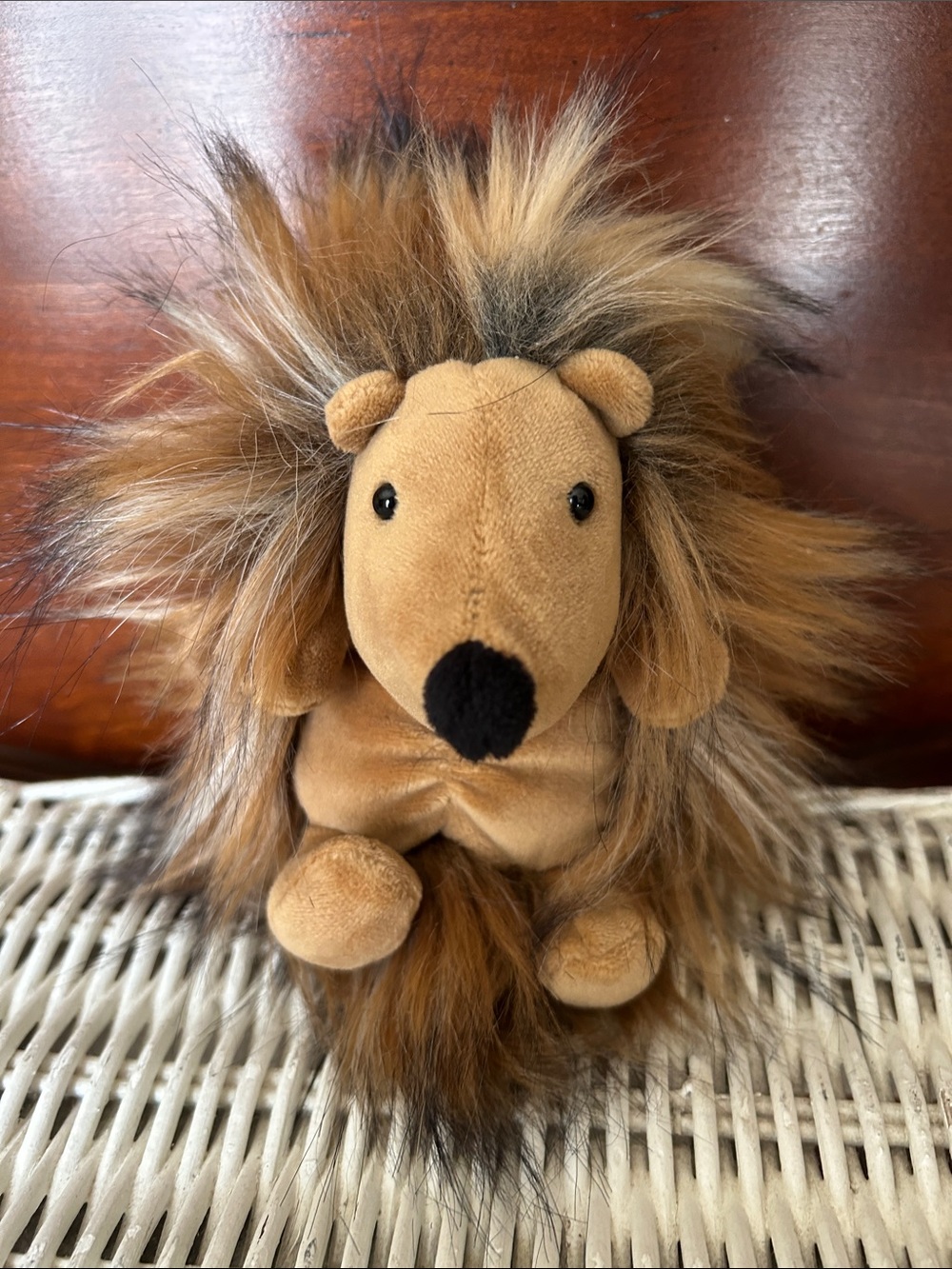 Plush Brown Hedgehog Small Pet Toy with Fluffy Fur. DIDI THE HEDGEHOG, JELLY CAT